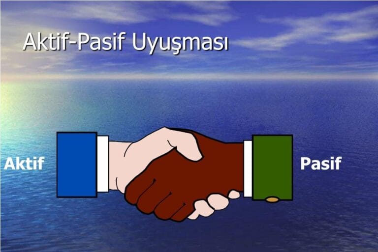 AKTİF PASİF YÖNETİMİ