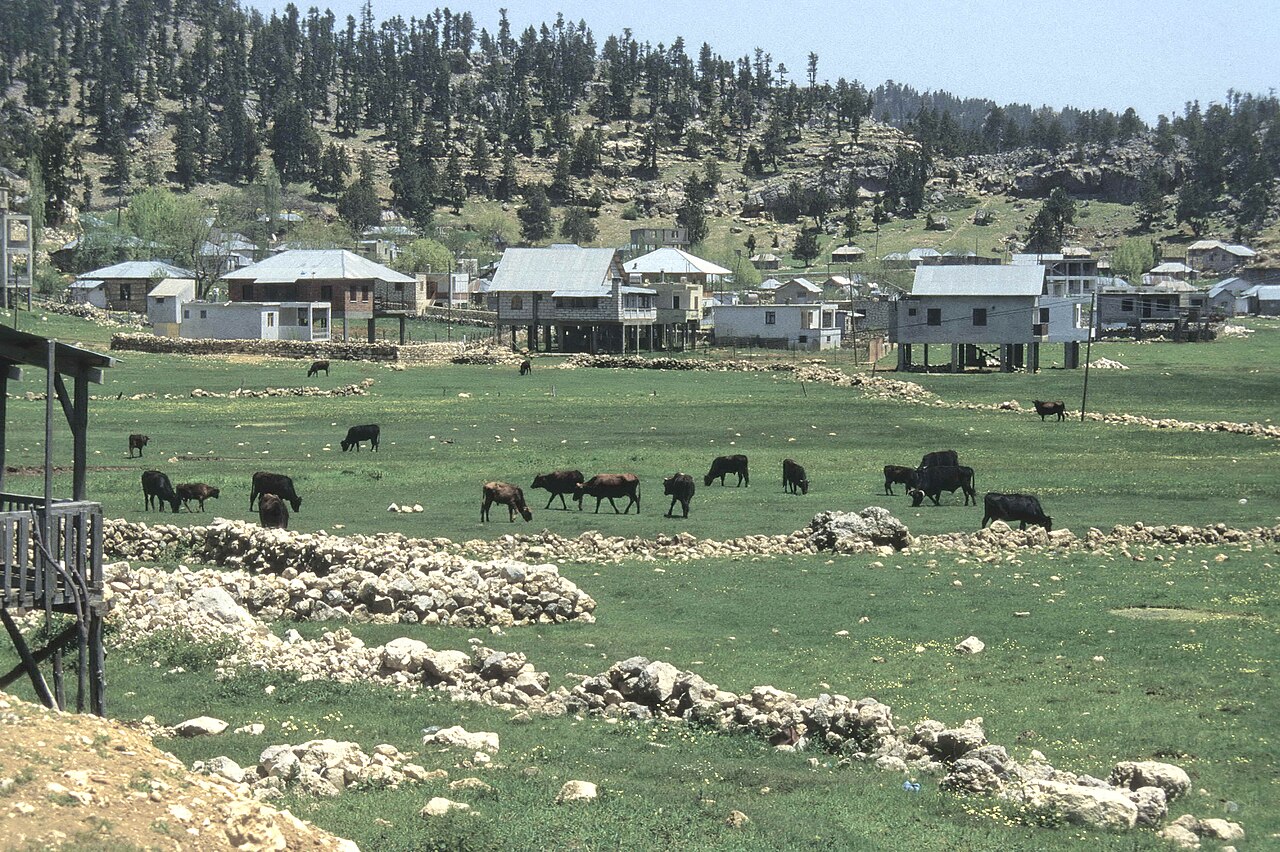 VARSAK TÜRKMENLERİ: KÖKENLERİ, ANADOLU'DAKİ YAYILIMI VE ULAŞ İLE TURGUT İLLERİ